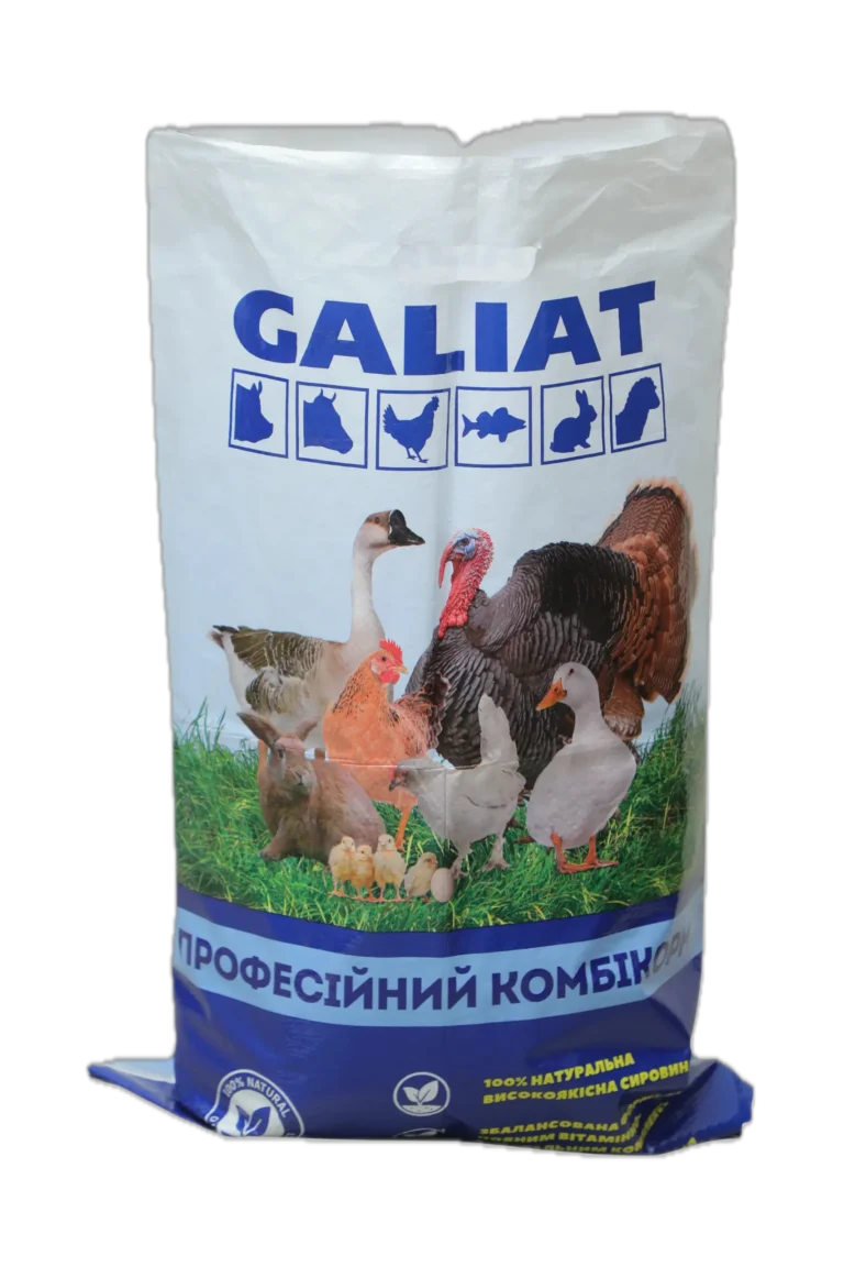 Untitled design-7 Background Removed copy